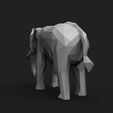 1.11.jpg Elephant