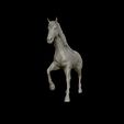 14.jpg American Quarter Horse model 3D print model