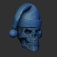Shop2.jpg Skull with Christmas hat