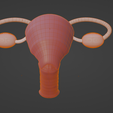 6.png.061f3d995dd6760c644ce55ff1388f0e.png 3D Model of Female Reproductive System v2