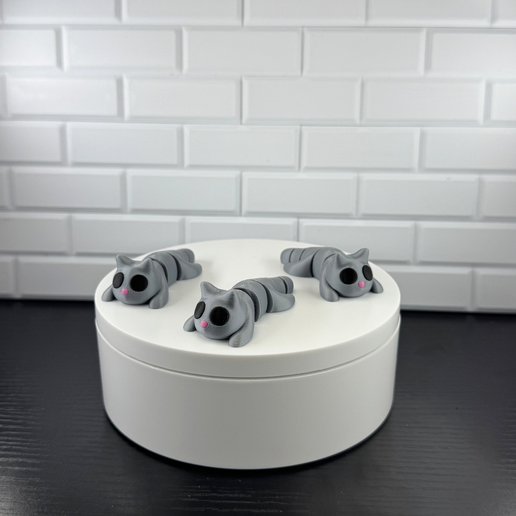 Cat Fidget Toy 3D model