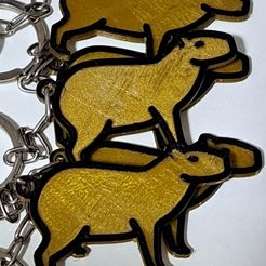 20240227_022745.jpg Capybara Keychain