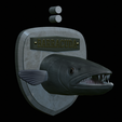 Barracuda-solo-model-5.png fish head great barracuda trophy statue detailed texture for 3d printing