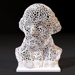 10007.jpg 3D file George Washington Bust・3D printer design to download