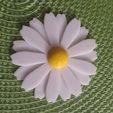 marga_foto_P1.jpg TABLE DECORATION, Flower, Deco, Daisy, Daisy; Marguerite