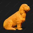 1055-Basset_Griffon_Vendeen_Petit_Pose_06.jpg Basset Griffon Vendeen Petit Dog 3D Print Model Pose 06