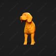 1240-Beagle_Pose_03.jpg Beagle Dog 3D Print Model Pose 03