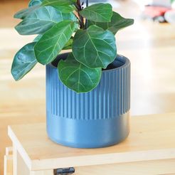 PC020223.jpg Flower Pot with grooved design - Planter for indoor plants and your garden