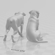 Captura-de-tela-2025-11-08-132723.png dogs