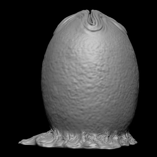 02.jpg OVOMORPHE D'ŒUF EXTRATERRESTRE IMPRIMABLE EN 3D 1979 3 VARIANTES