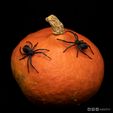 spider_instagram_01.jpg Archivo STL gratuito La araña viuda negra・Design para impresora 3D para descargar