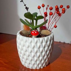 20240328_110958-1.jpg Mini Succulent Planter- Pot