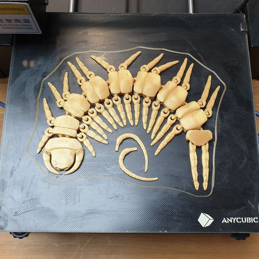 pic05.jpg Centipedes