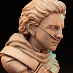 Bust 05.png STL file Dune Boy・Template to download and 3D print