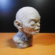 Golum_05.jpg Golum bust, from Lord Of The Rings
