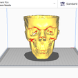 Captura-de-Pantalla-2023-04-20-a-la-s-5.25.24-p.m.png skull with mandible and cervical spine