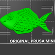 FISH8.png fish 3D