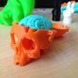 SkullBox_3DK_4.jpg Fichier STL gratuit Boneheads: Boîte Crâne avec cerveau - via 3DKitbash.com・Modèle pour impression 3D à télécharger