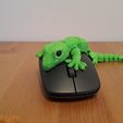 Flexible-gecko-02.jpg Гибкий геккон
