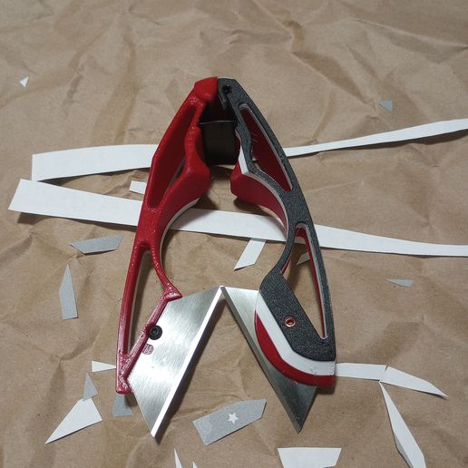 IMG_20241029_235914.jpg Rassors : Ciseaux de rasoir