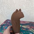 PXL_20220731_175432956.jpg Fichier STL gratuit Personnel du furet qui s'effondre・Design pour impression 3D à télécharger