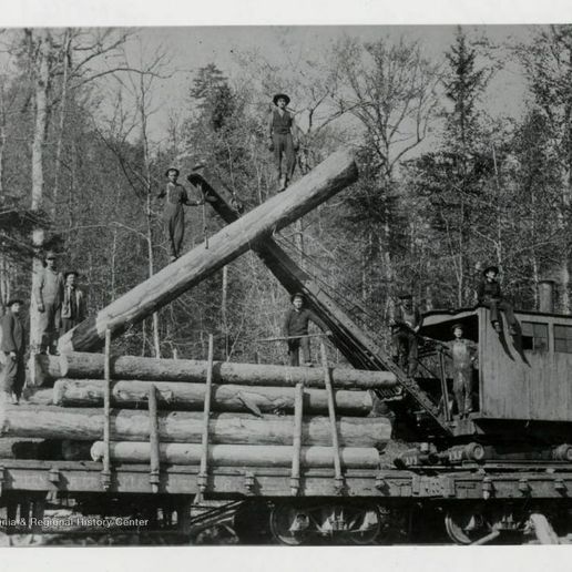 🏗️ Spruce Lumber No. 3, American Crane & Derrick Log Loader - G Scale ...