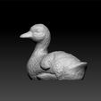 duck111.jpg Duck - toy for kids
