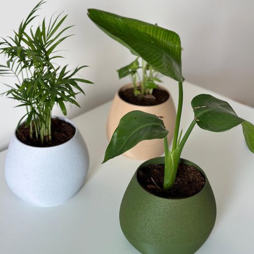 447526830_1129903168246430_3402721388286638246_n.jpg KAPKA self watering planter