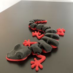 Gelenkige Echse v2