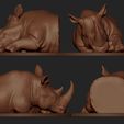 ZBrush DocumentRH.jpg Rhino