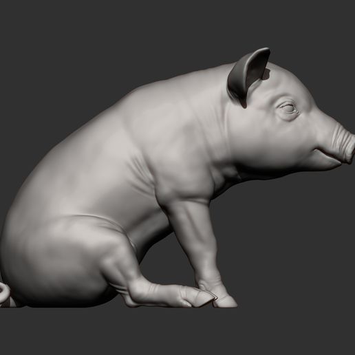 Baby-pig-sitting8.jpg Baby pig sitting 3D print model