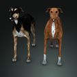 41172.jpg DOG - DOWNLOAD Greyhound dog 3d model - Animated CANINE PET GUARDIAN WOLF HOUSE HOME GARDEN POLICE - 3D printing Greyhound DOG DOG DOG