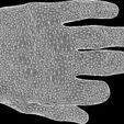 8-27-2012-8.23.34_PM9-10-2013-6.58.10_AM.jpg fingerlonger project - The Scanned Hand - prosthetic model