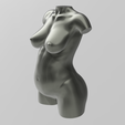 01.png 3D file Bust of a pregnant woman・Design to download and 3D print