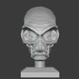 04.jpg Crystal Skull