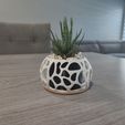 voronoi-sphere-4.jpg Small Modern Plant Vase and Candle Holder (voronoi style)