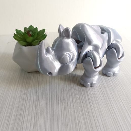 WhatsApp-Image-2024-02-15-at-8.31.19-AM.jpeg Flexi Rhino Runner