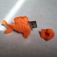 20220403_144549.jpg Red Fish Memory