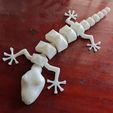 WhatsApp-Image-2022-10-31-at-12.45.00.jpeg Arculated lizzard playtoy for cats for  3D print model