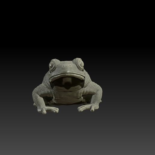 5.jpg Bufotes für den Druck