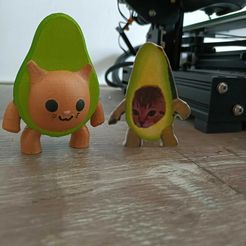 WhatsApp-Image-2022-12-27-at-11.42.56-2.jpeg Tender avocado cats