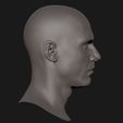 Mark-Hamill-03.jpg Bildnis des jungen Mark Hamill als 3D-Modell