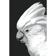 Cacatua-fotor-20260325135025.png Какаду Хуефорж 147 х 220 мм