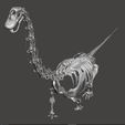 giraffatitan121.jpg Brachiosaurus / Giraffatitan complete skeleton