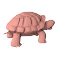 Turtle-low-poly0004.jpg Turtle low poly