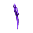 Ischium_Right.OBJ Life size baby T-rex skeleton - Part 02/10