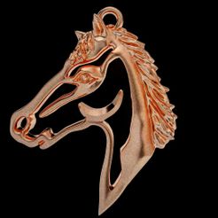 IMG_20191111_171107_458.jpg HORSE