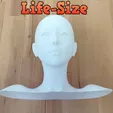 01.webp [Life-size] Head model