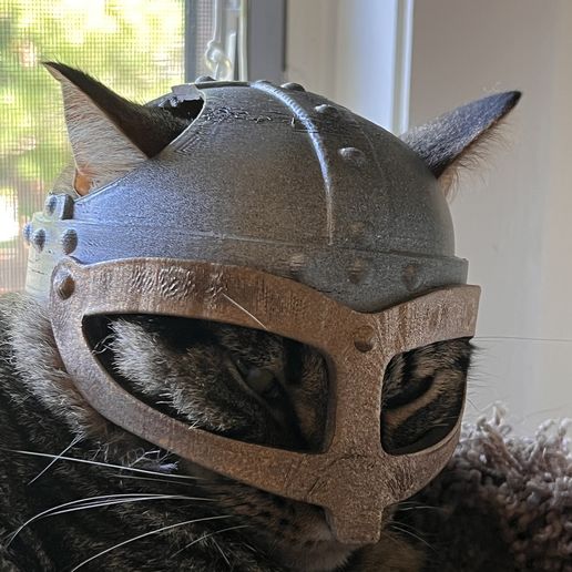 IMG_1350.jpeg Casco de gato vikingo 🐈