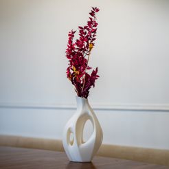 _DSC8647.jpg Organic Sculptural Dry Flower VaseV2